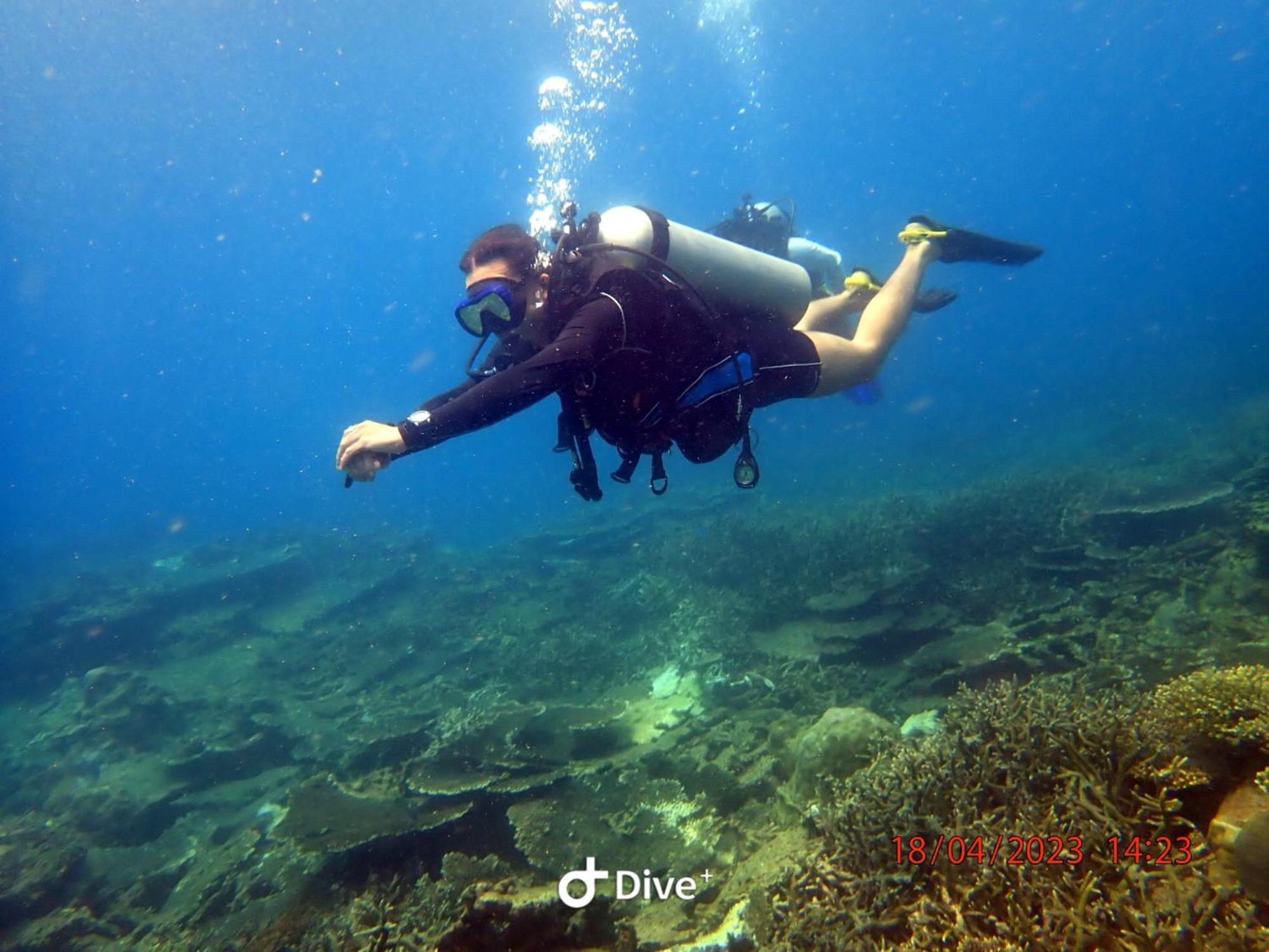 Con Dao Backpacker - Loco Camping Chi Khu Co Ong Buitenkant foto