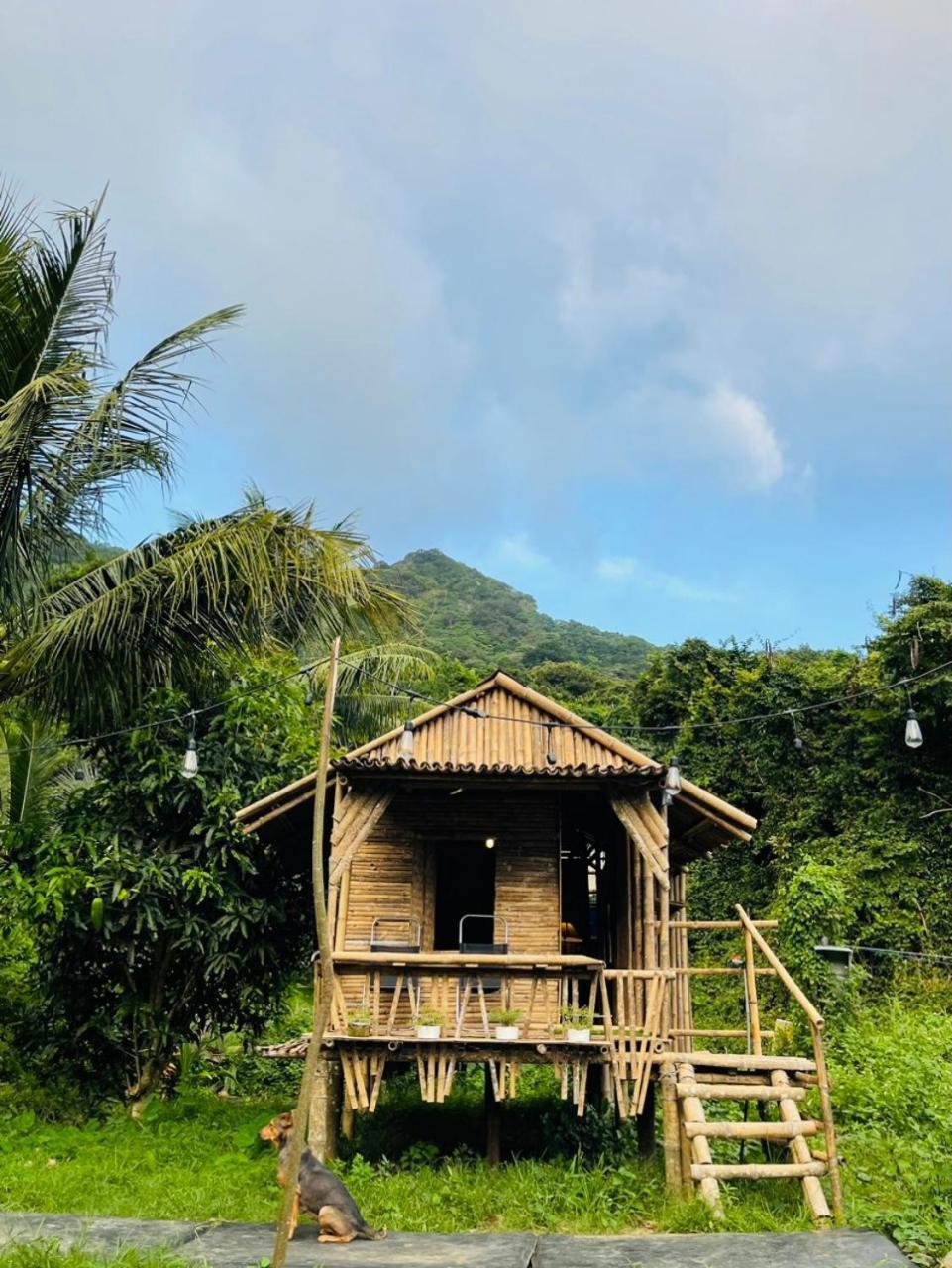 Con Dao Backpacker - Loco Camping Chi Khu Co Ong Buitenkant foto
